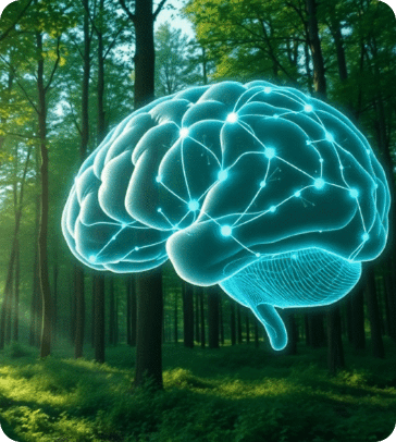 Neurociencia del Dolor y Sistema Nervioso